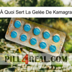 À Quoi Sert La Gelée De Kamagra new09